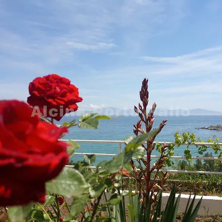 Apartment Alcina Porto Palio *